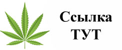 Купить наркотики в Будённовске